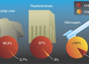 Anrikningsgrad